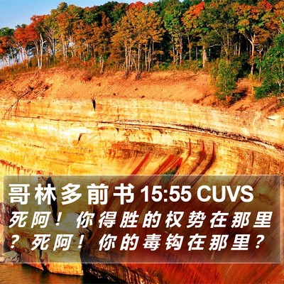 哥 林 多 前 书 15:55 CUVS Bible Verse Image