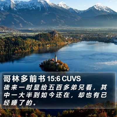 哥 林 多 前 书 15:6 CUVS Bible Verse Image