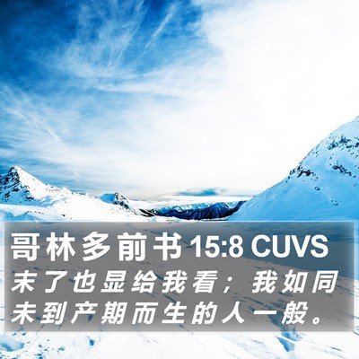 哥 林 多 前 书 15:8 CUVS Bible Verse Image