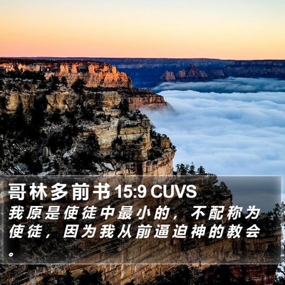 哥 林 多 前 书 15:9 CUVS Bible Verse Image