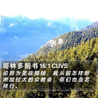 哥 林 多 前 书 16:1 CUVS Bible Verse Image