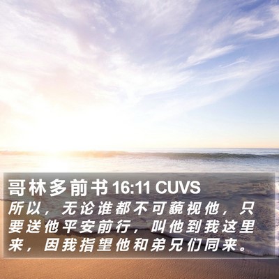 哥 林 多 前 书 16:11 CUVS Bible Verse Image