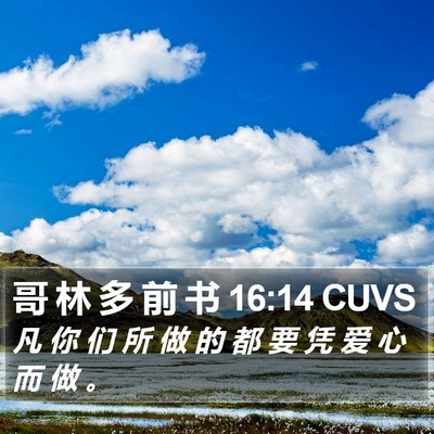 哥 林 多 前 书 16:14 CUVS Bible Verse Image