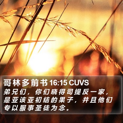 哥 林 多 前 书 16:15 CUVS Bible Verse Image