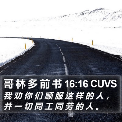 哥 林 多 前 书 16:16 CUVS Bible Verse Image
