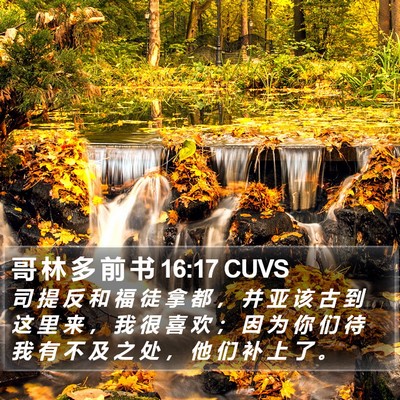 哥 林 多 前 书 16:17 CUVS Bible Verse Image