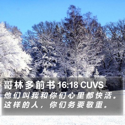 哥 林 多 前 书 16:18 CUVS Bible Verse Image