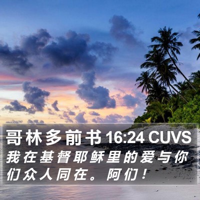 哥 林 多 前 书 16:24 CUVS Bible Verse Image