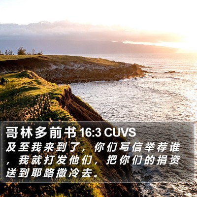 哥 林 多 前 书 16:3 CUVS Bible Verse Image