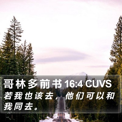 哥 林 多 前 书 16:4 CUVS Bible Verse Image