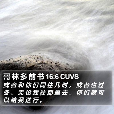 哥 林 多 前 书 16:6 CUVS Bible Verse Image