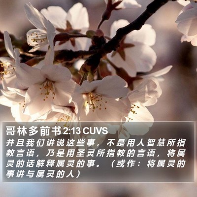 哥 林 多 前 书 2:13 CUVS Bible Verse Image