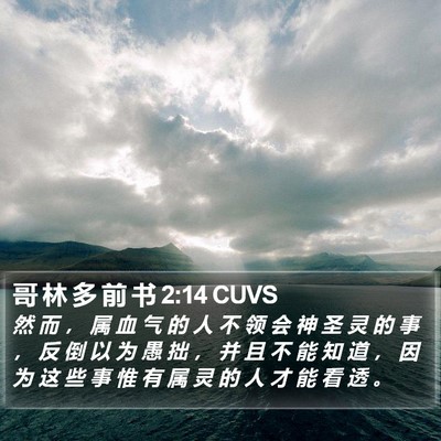 哥 林 多 前 书 2:14 CUVS Bible Verse Image