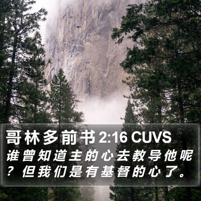 哥 林 多 前 书 2:16 CUVS Bible Verse Image