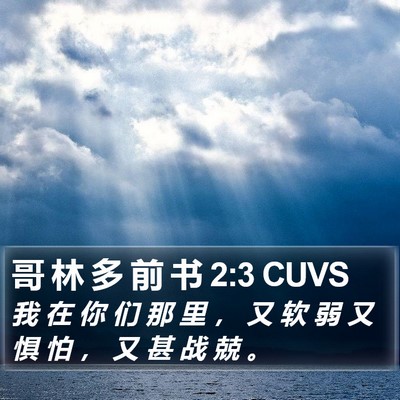 哥 林 多 前 书 2:3 CUVS Bible Verse Image