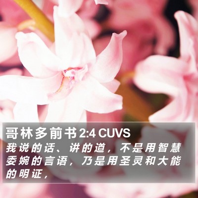 哥 林 多 前 书 2:4 CUVS Bible Verse Image