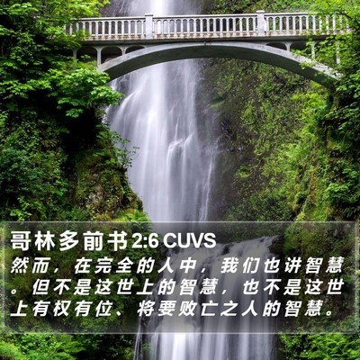 哥 林 多 前 书 2:6 CUVS Bible Verse Image
