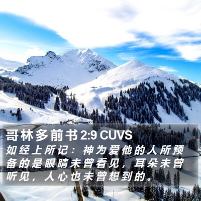 哥 林 多 前 书 2:9 CUVS Bible Verse Image