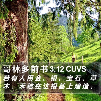 哥 林 多 前 书 3:12 CUVS Bible Verse Image