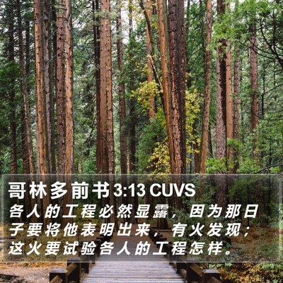 哥 林 多 前 书 3:13 CUVS Bible Verse Image