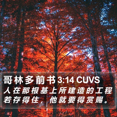 哥 林 多 前 书 3:14 CUVS Bible Verse Image