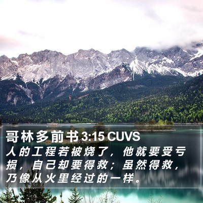 哥 林 多 前 书 3:15 CUVS Bible Verse Image
