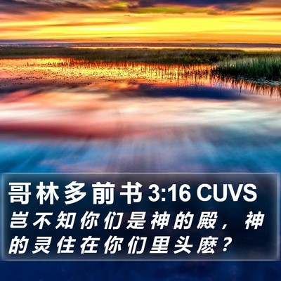 哥 林 多 前 书 3:16 CUVS Bible Verse Image