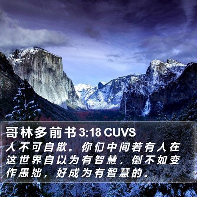 哥 林 多 前 书 3:18 CUVS Bible Verse Image