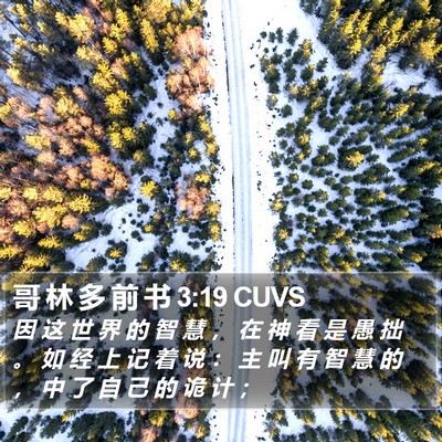 哥 林 多 前 书 3:19 CUVS Bible Verse Image