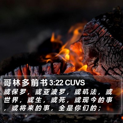 哥 林 多 前 书 3:22 CUVS Bible Verse Image