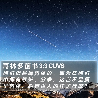 哥 林 多 前 书 3:3 CUVS Bible Verse Image