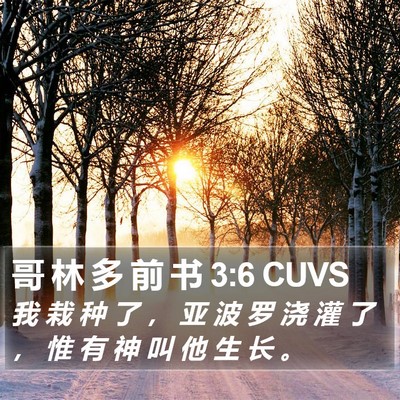 哥 林 多 前 书 3:6 CUVS Bible Verse Image