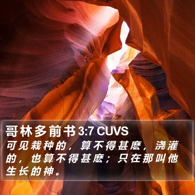 哥 林 多 前 书 3:7 CUVS Bible Verse Image