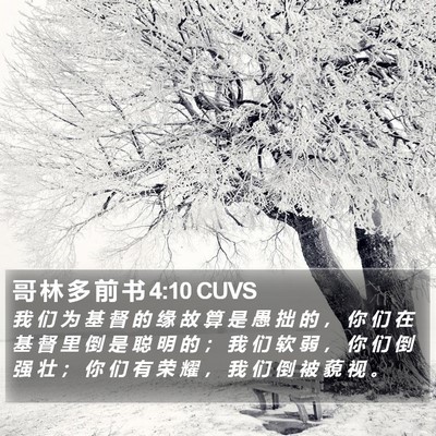哥 林 多 前 书 4:10 CUVS Bible Verse Image