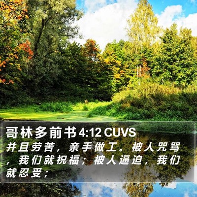哥 林 多 前 书 4:12 CUVS Bible Verse Image