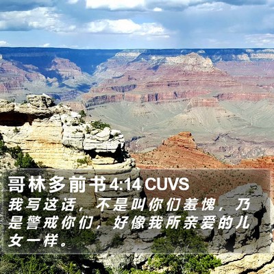哥 林 多 前 书 4:14 CUVS Bible Verse Image
