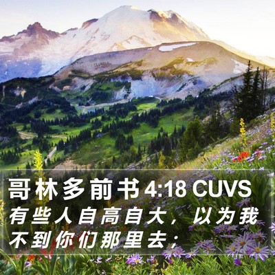 哥 林 多 前 书 4:18 CUVS Bible Verse Image