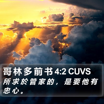 哥 林 多 前 书 4:2 CUVS Bible Verse Image