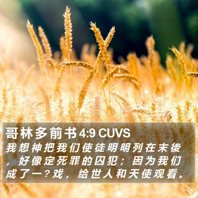哥 林 多 前 书 4:9 CUVS Bible Verse Image