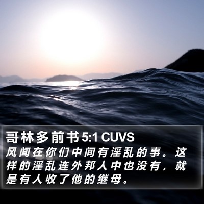 哥 林 多 前 书 5:1 CUVS Bible Verse Image