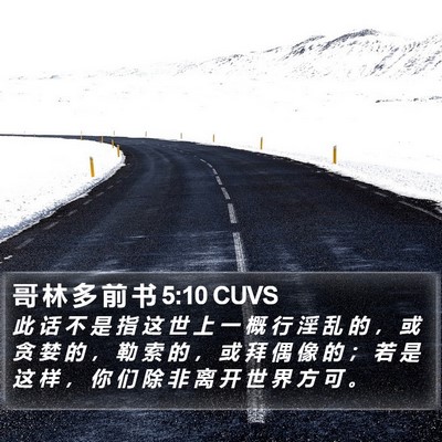 哥 林 多 前 书 5:10 CUVS Bible Verse Image