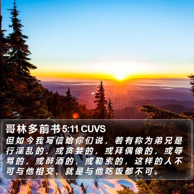 哥 林 多 前 书 5:11 CUVS Bible Verse Image