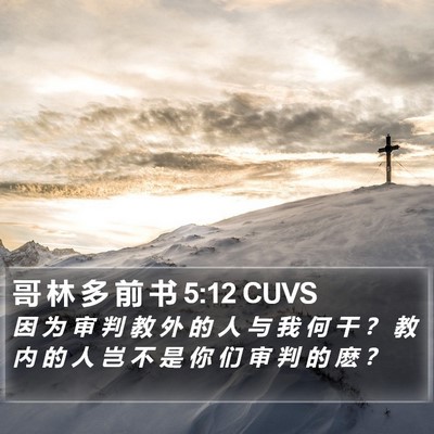 哥 林 多 前 书 5:12 CUVS Bible Verse Image