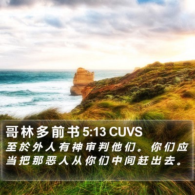 哥 林 多 前 书 5:13 CUVS Bible Verse Image