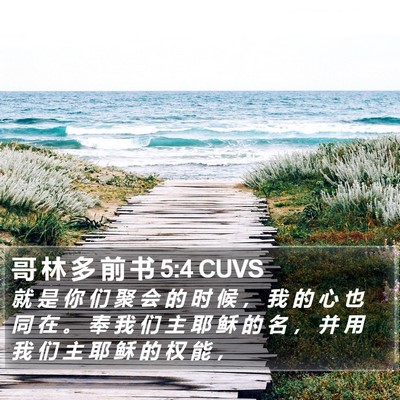 哥 林 多 前 书 5:4 CUVS Bible Verse Image