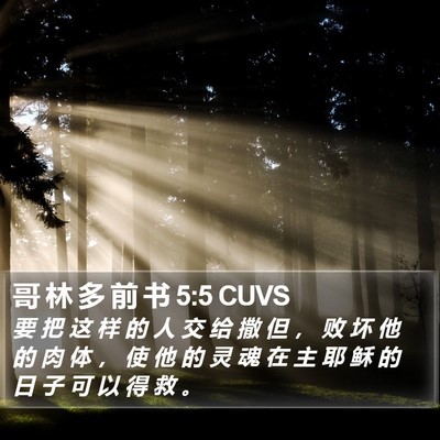 哥 林 多 前 书 5:5 CUVS Bible Verse Image