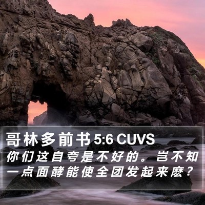 哥 林 多 前 书 5:6 CUVS Bible Verse Image