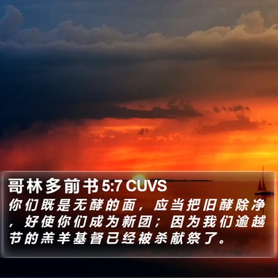 哥 林 多 前 书 5:7 CUVS Bible Verse Image