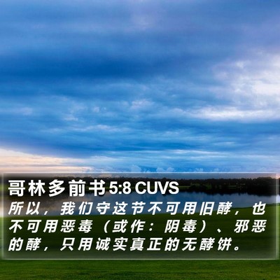 哥 林 多 前 书 5:8 CUVS Bible Verse Image