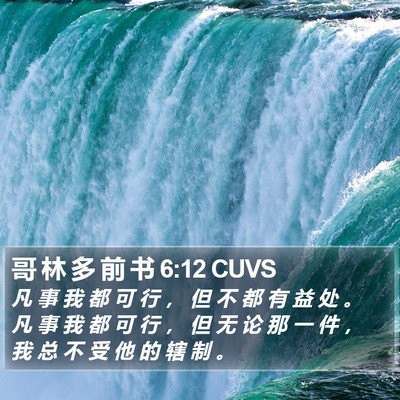 哥 林 多 前 书 6:12 CUVS Bible Verse Image